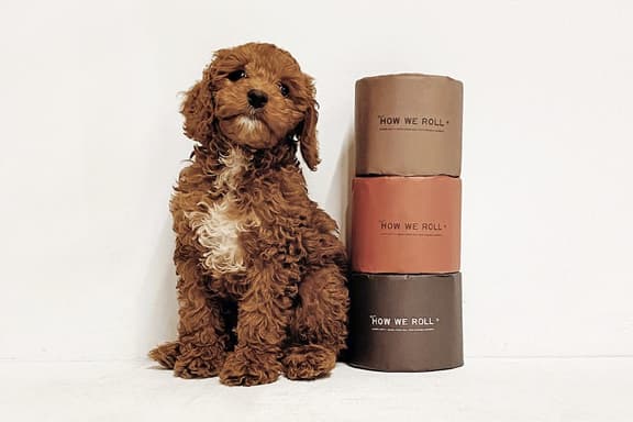 sustainable dog poo bags