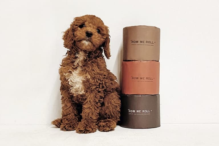 sustainable dog poo bags