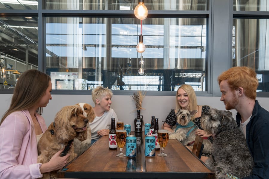 BrewDog DogKeeper 1