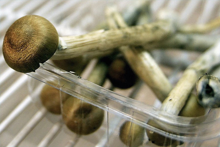 Canadian patients allowed to use psychedelic mushrooms
