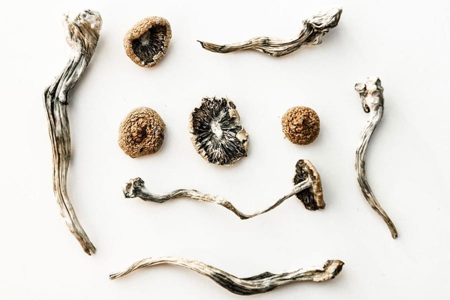 Canadian patients allowed to use psychedelic mushrooms