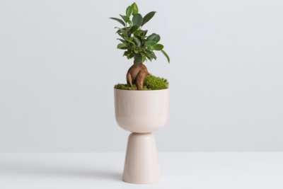 Father’s Day Gift Guide 2020 - Under $200