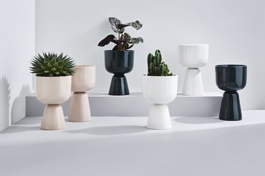 Fathers day gift guide under 200 napula pot