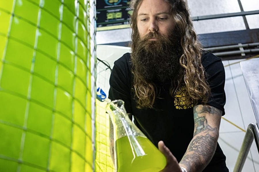 Feel-Good Friday August 14 young henrys