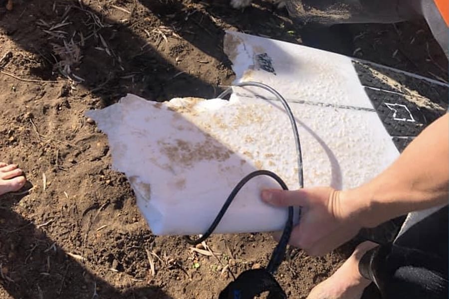 Surfer Great White Shark 3