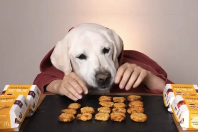 Feel-Good Friday: August 7 - Hugs, Drugs and Chicken Nuggs